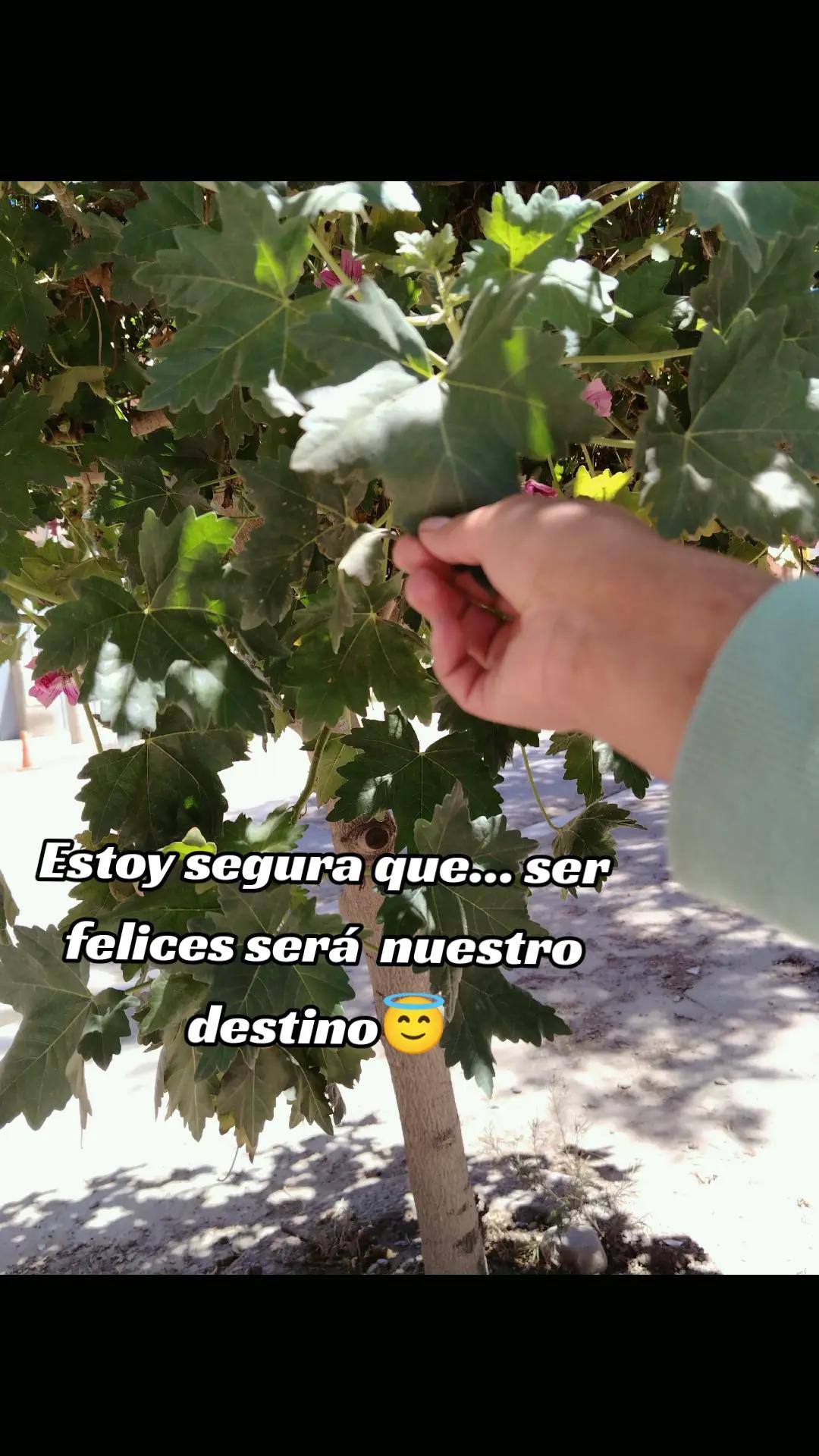 @carlita😃