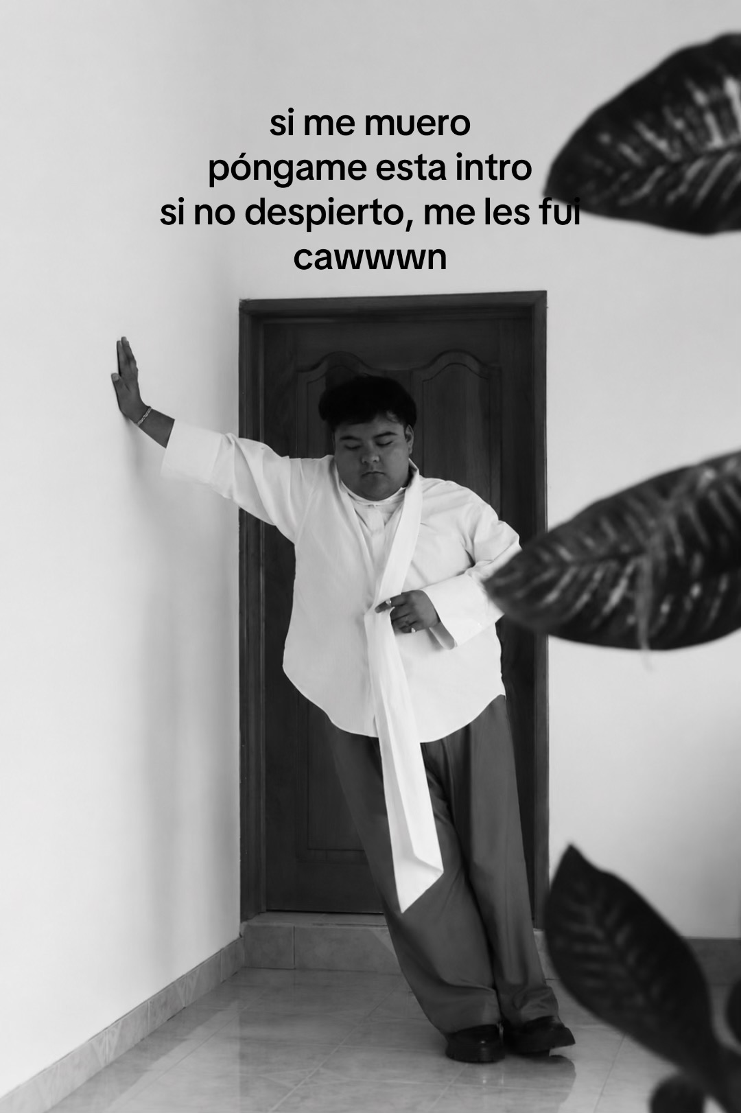 @misaelalvarz