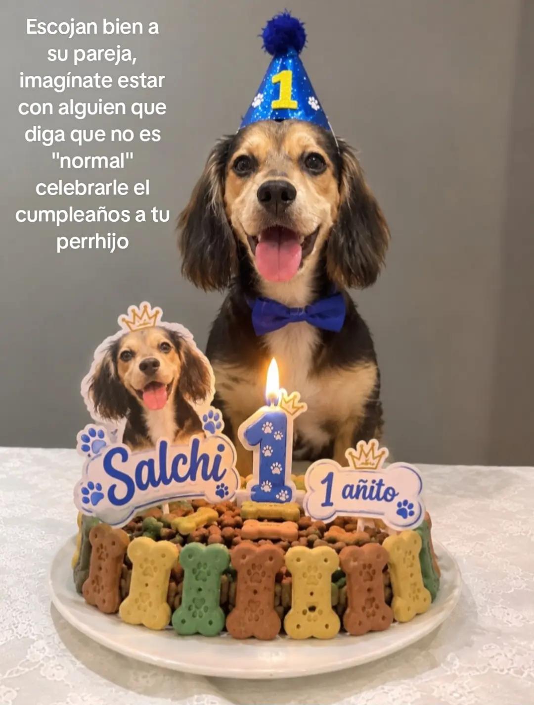@Una leo♌️