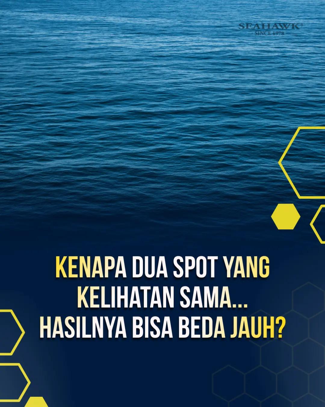 @Teamseahawkindonesia