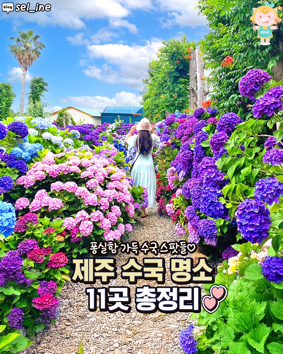 @제주핫플