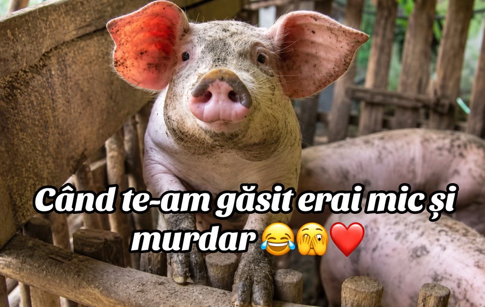@Oana