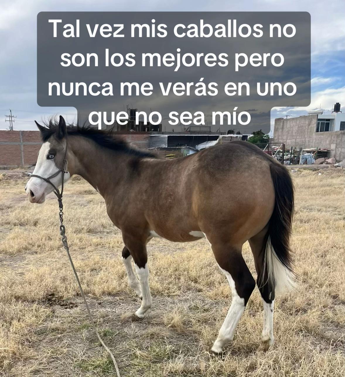 @Jdelcampo