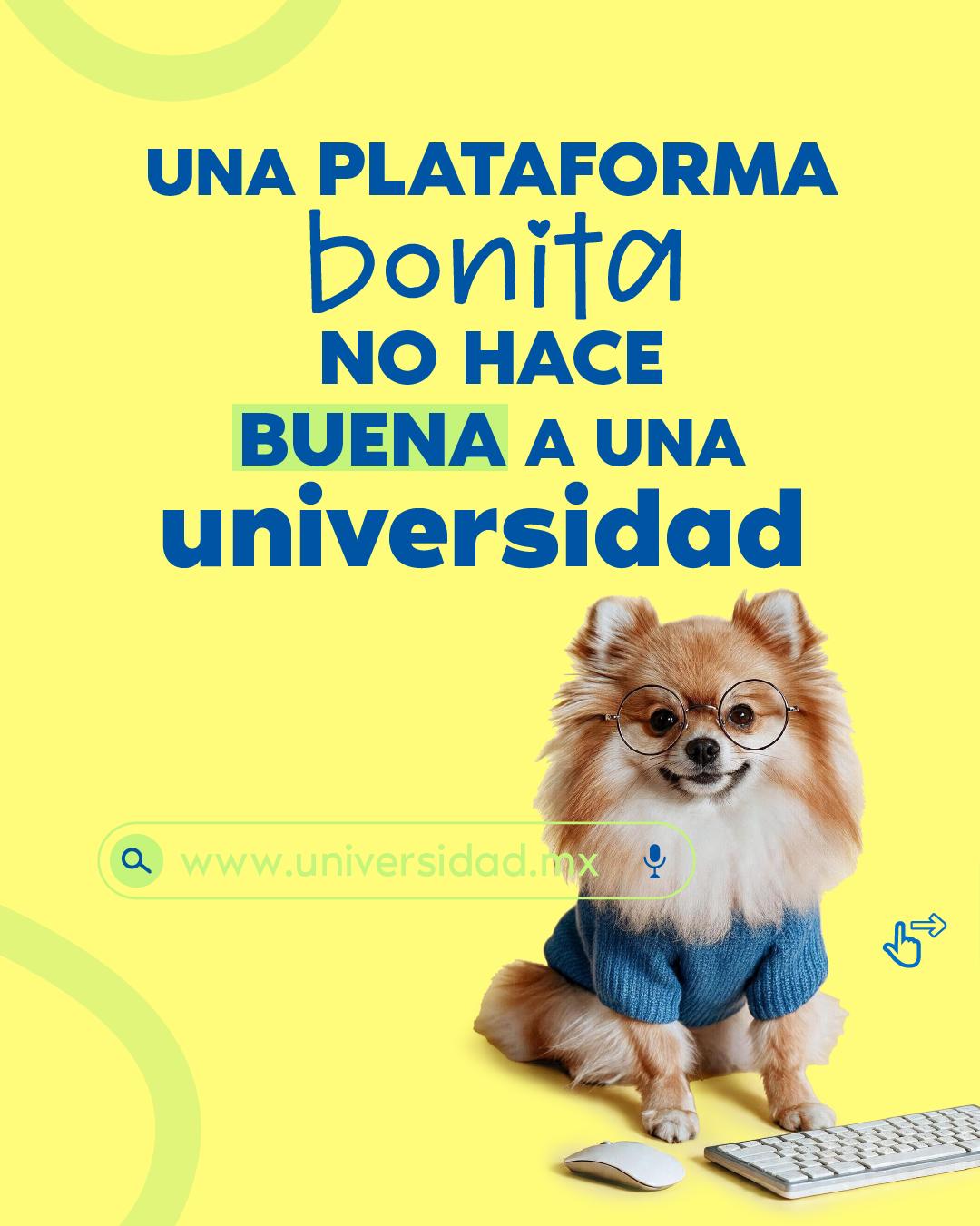 @Universidad Insurgentes