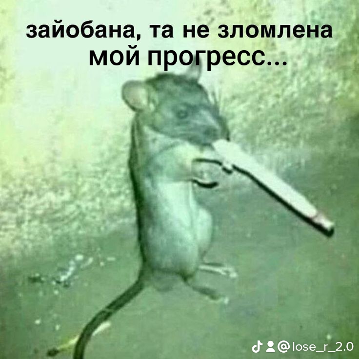 @LOSER