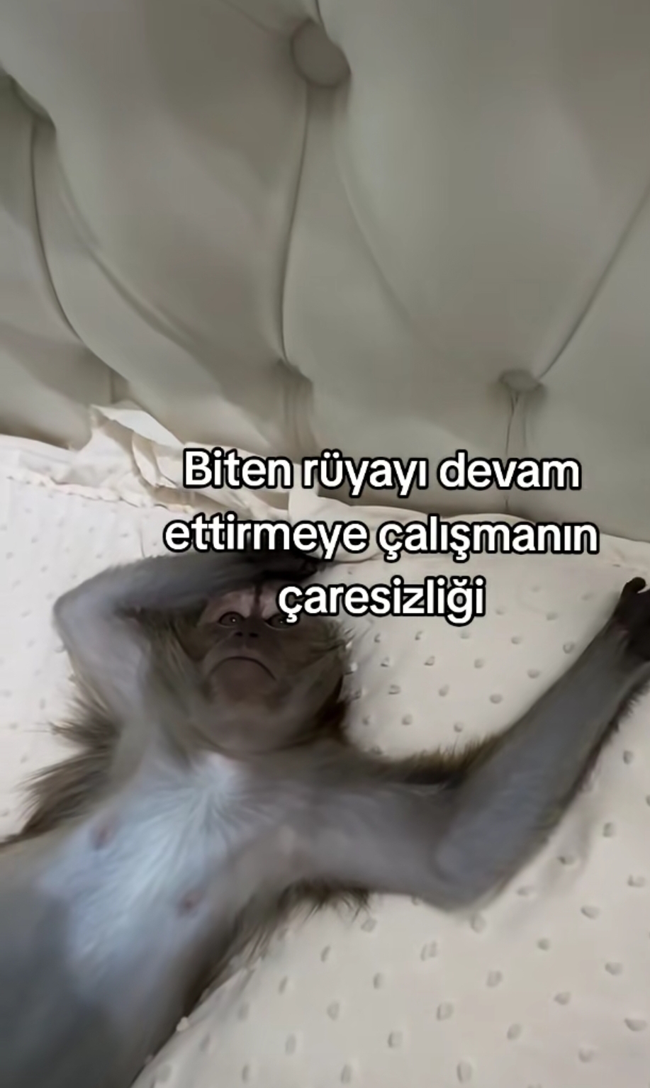 @Belinay fann&hearts;️💖💗🤗🫶🏻💘🩷😽