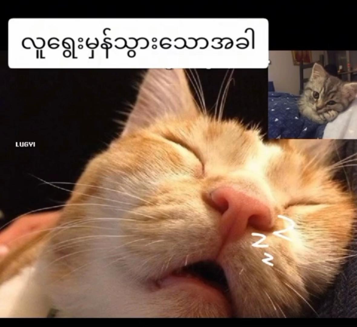 @yoon.wadi.kyaw(official Acc)