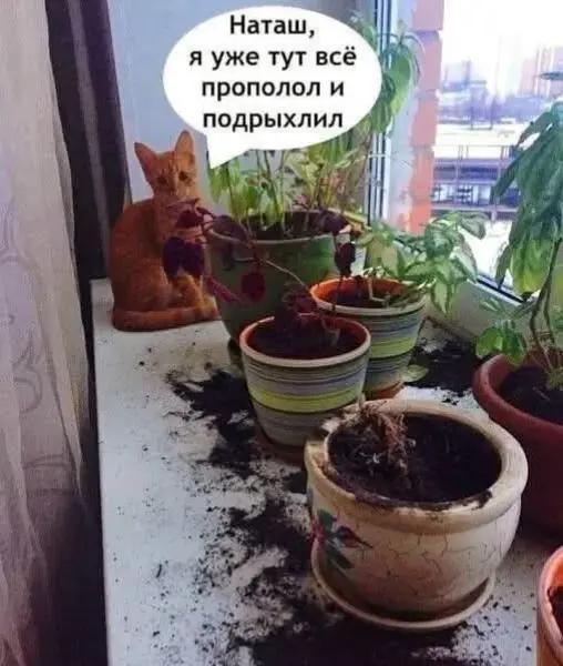 @@ Сарыкбай 💯