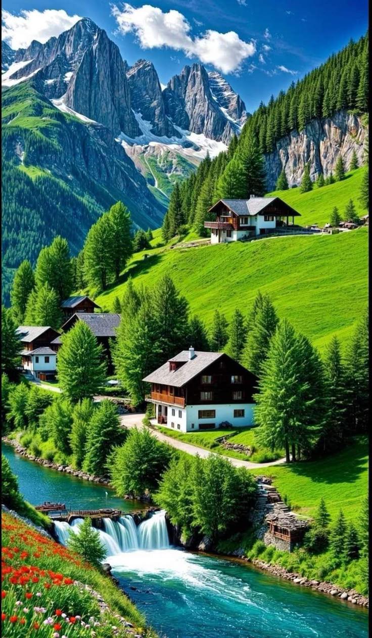 @dharmishta06