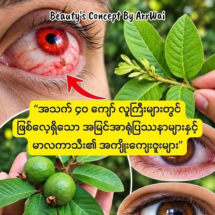 @đđŤđŤ_đđđ˘ đđ¨đŽđŤđ§đđ˛