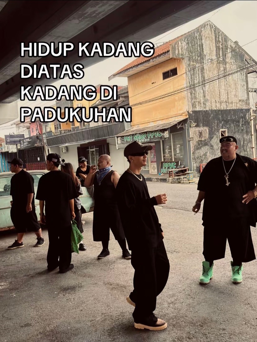 @ᴡɪʀʀʀ.