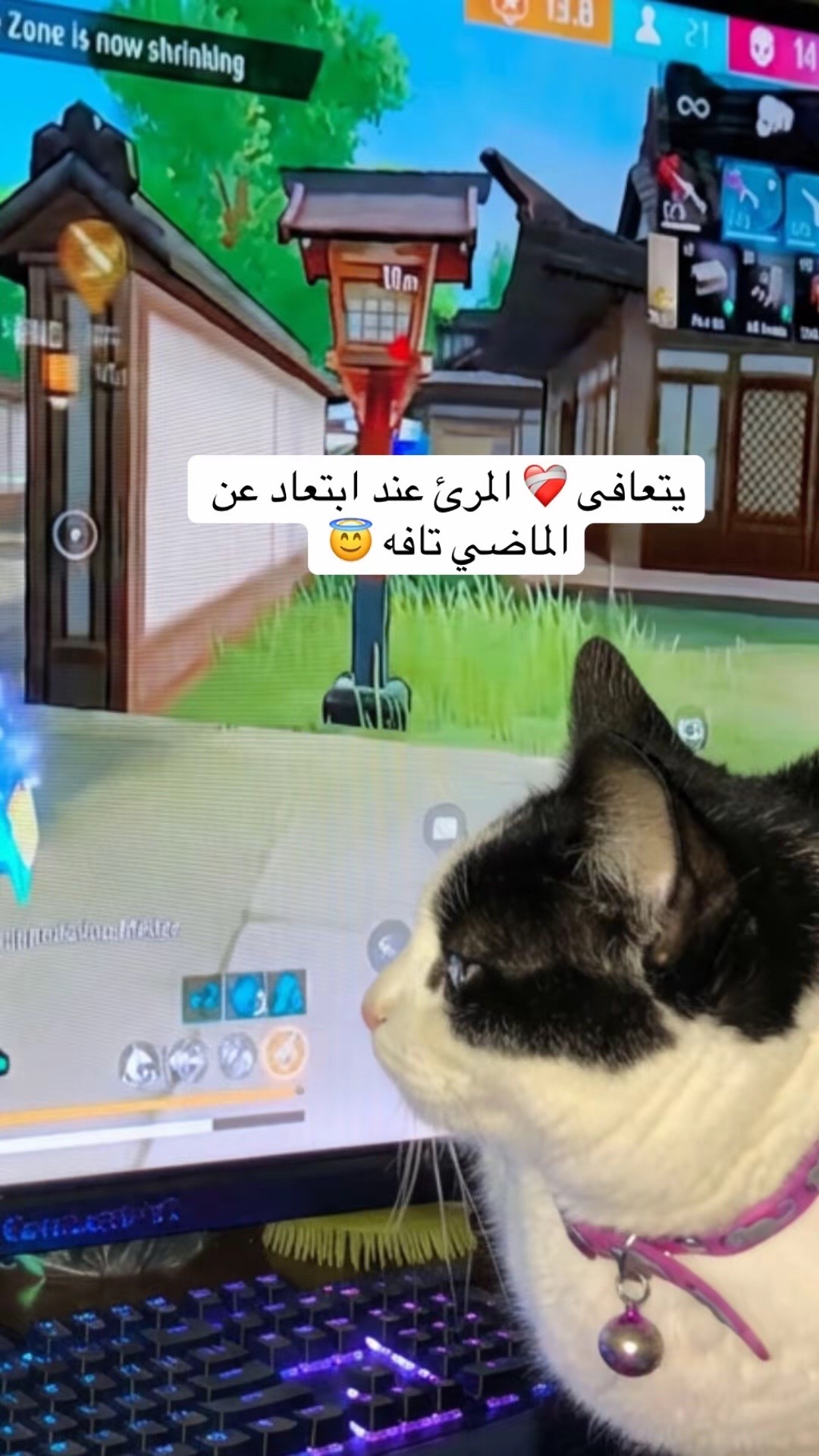 @Onlyakema