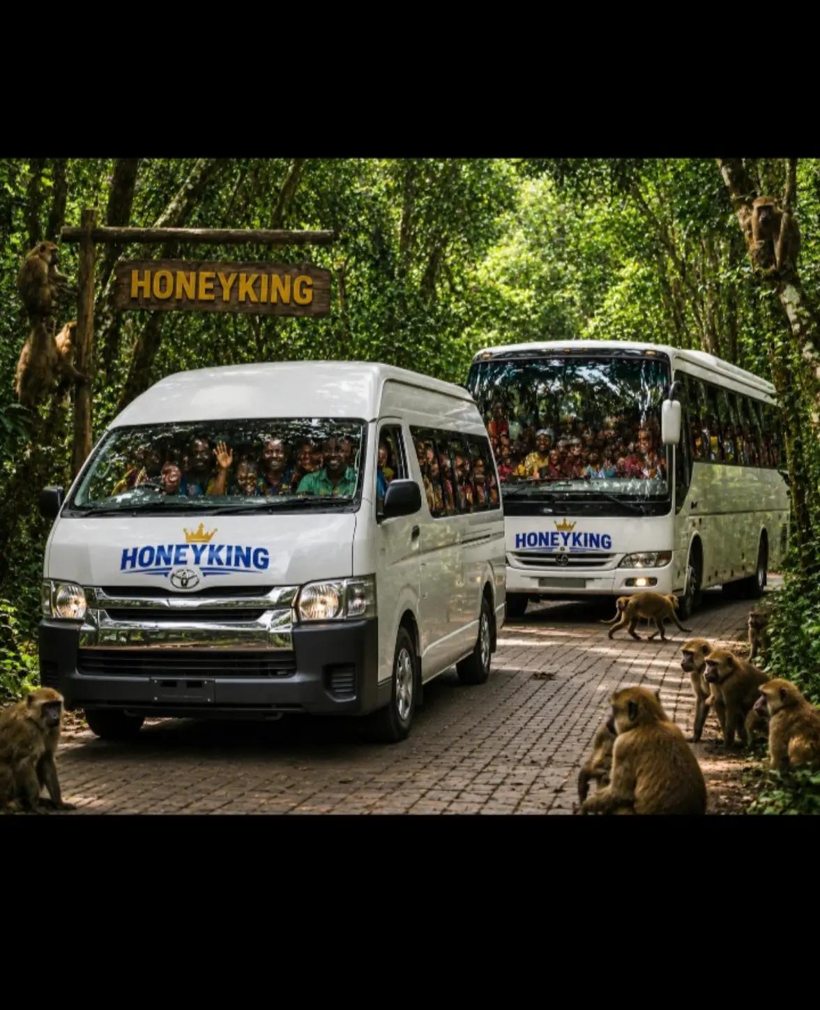 @Honeyking