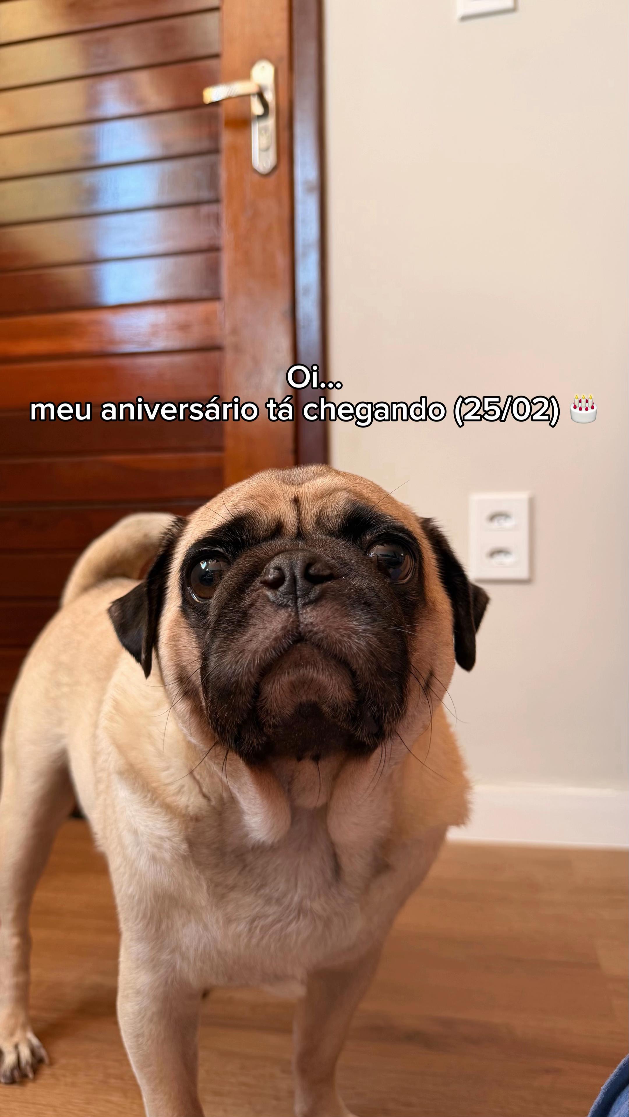@FRANKINHO