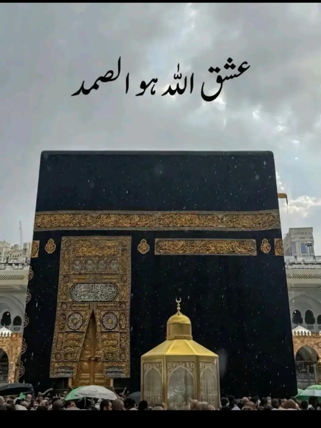 @🤍 Qᴀꜱɪᴍ ᴊᴜᴛᴛ 🖤