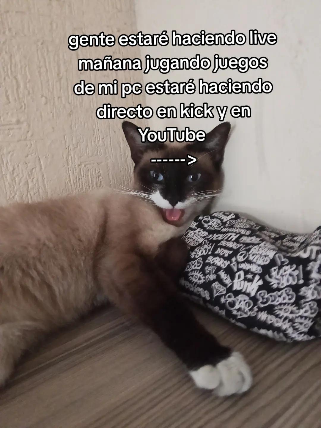 @ManguitoLw