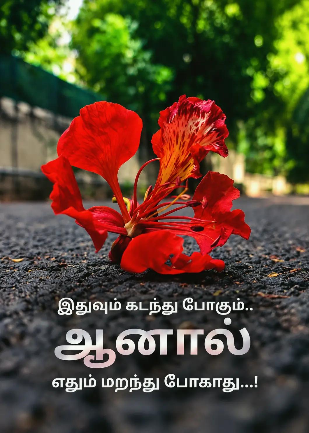 @Vtha2822