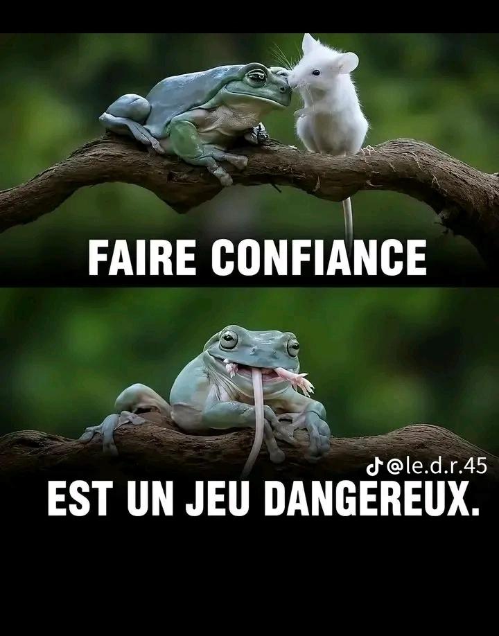 @aristideseur