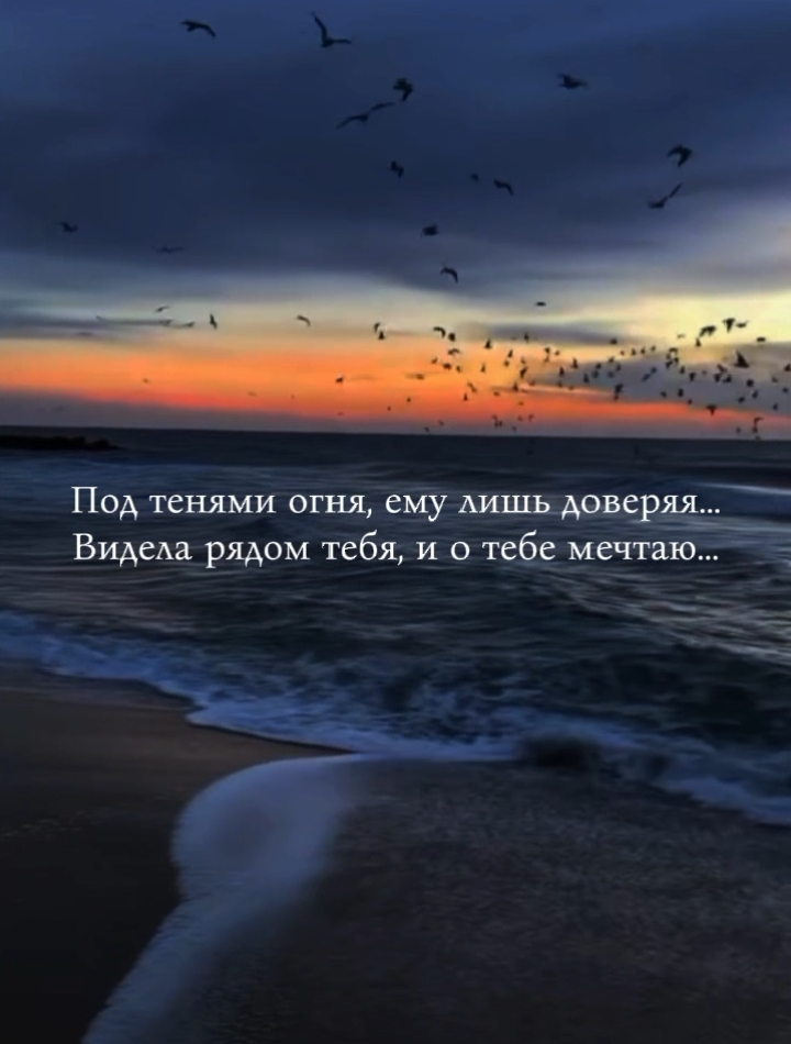 @Елизавета🖤