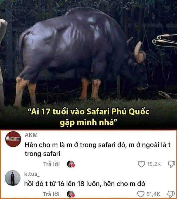 @cơm rang ko hành