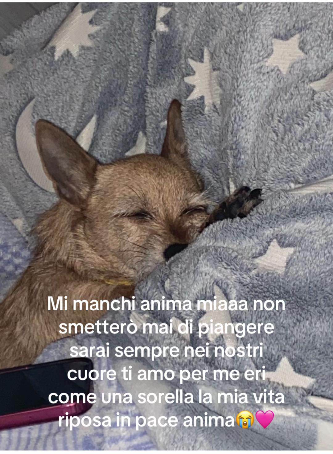 @Noemi🎀❄️