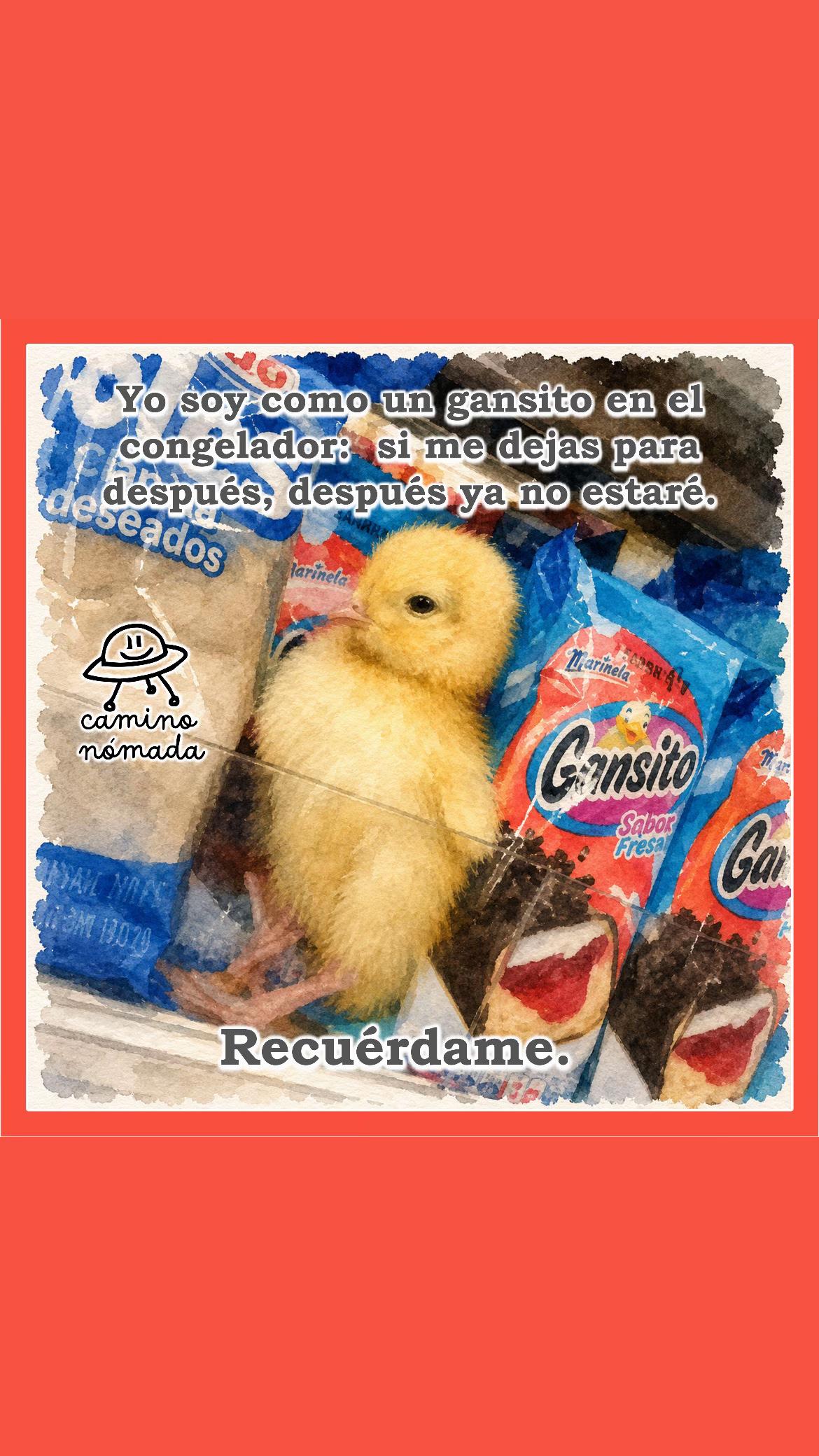 @Camino Nómada