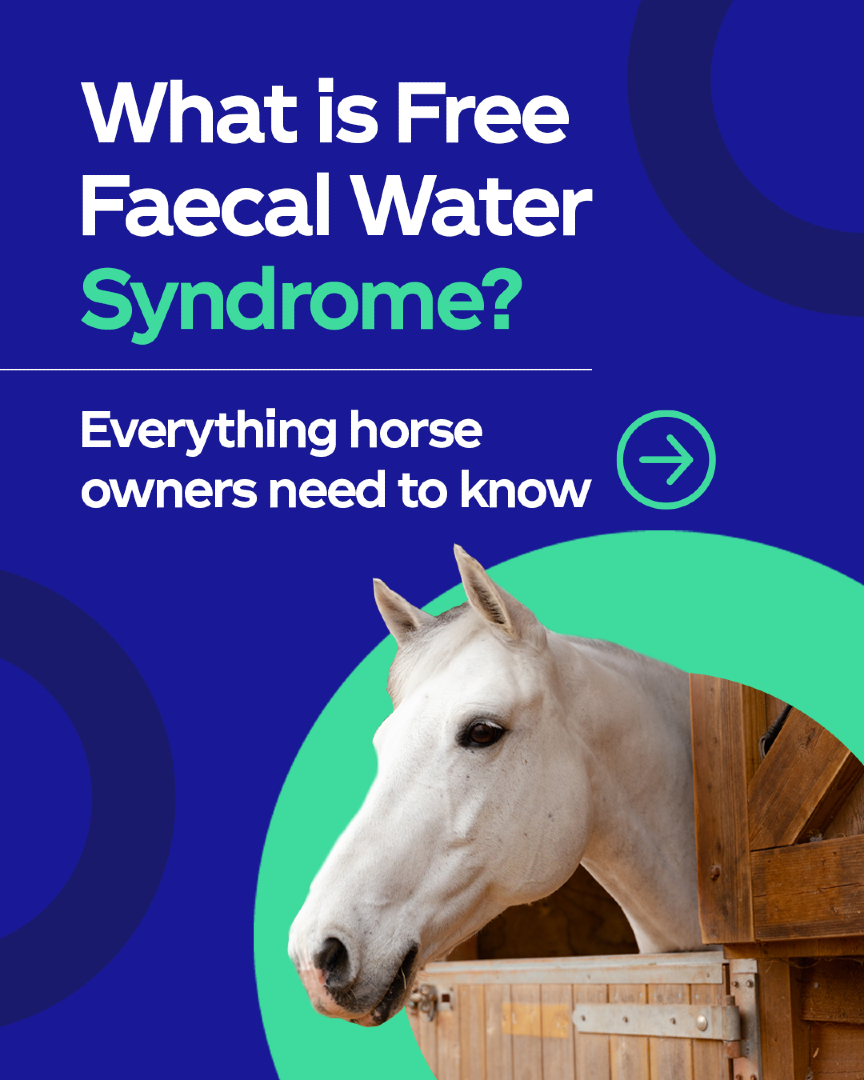 @Protexin Equine