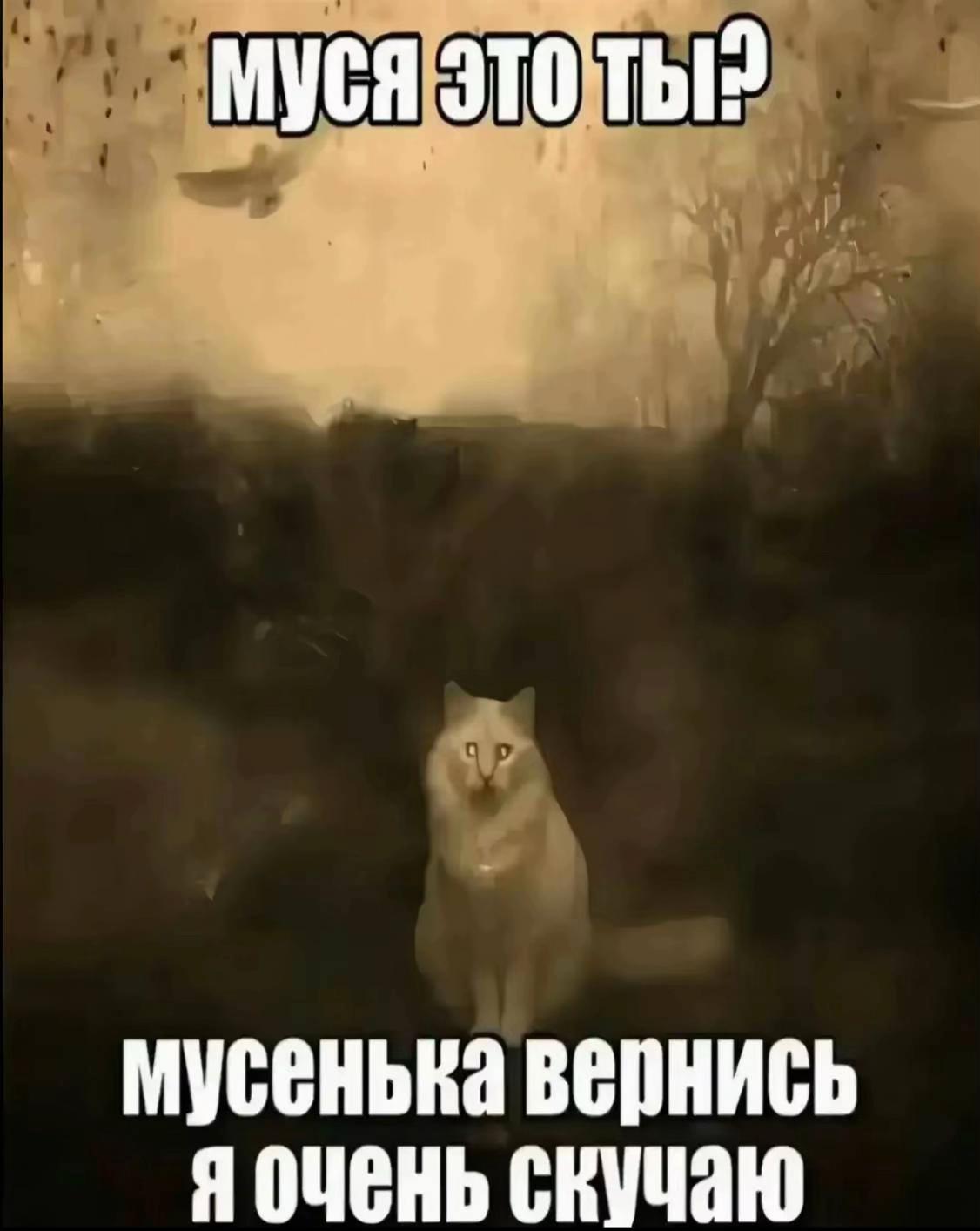 @uglyuserd.5rp