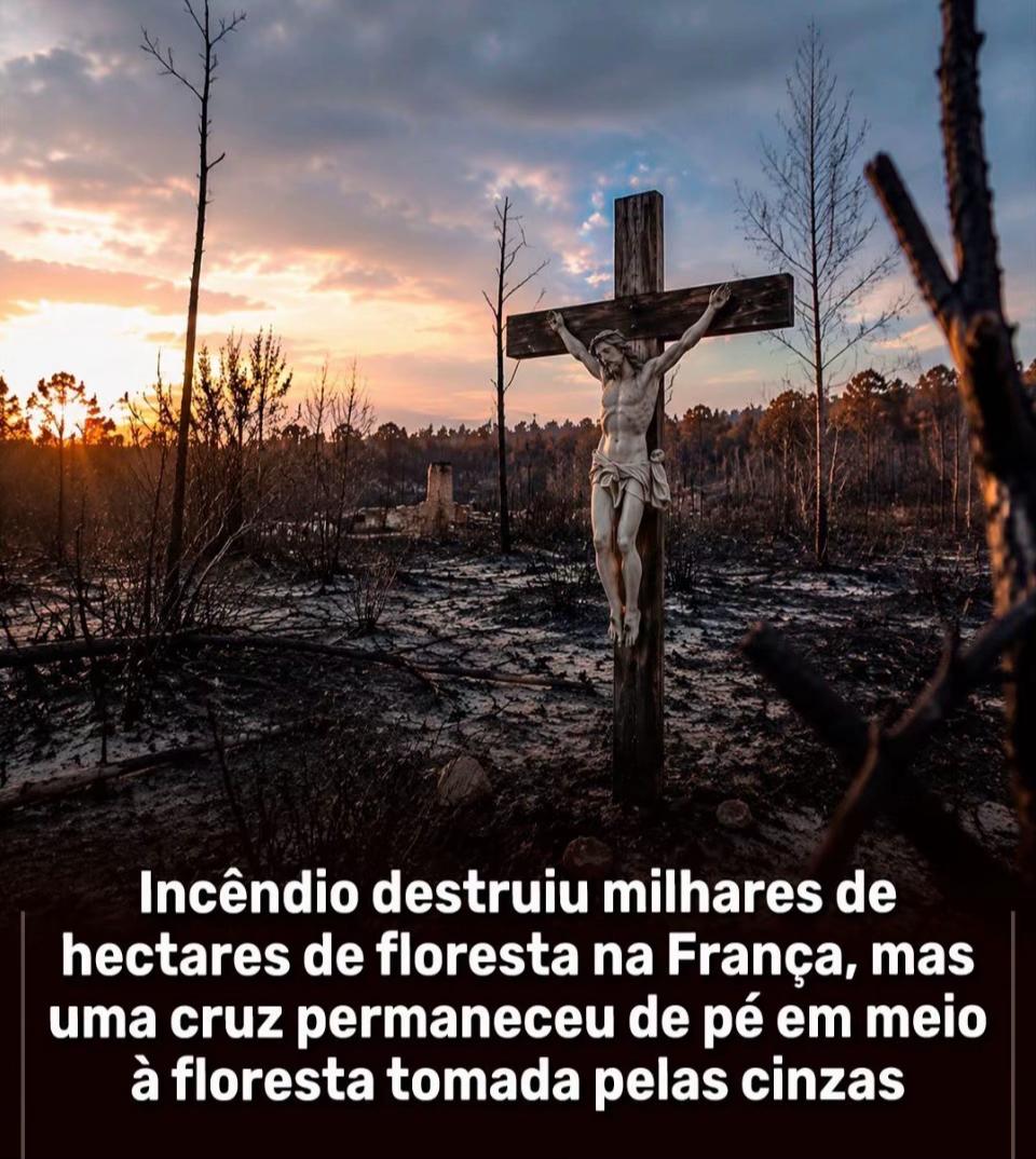 @danieladanssoares