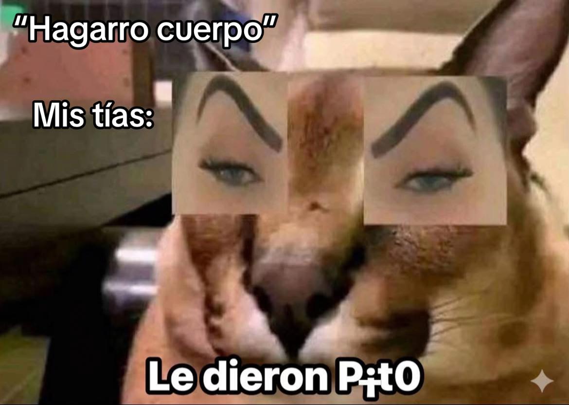 @Oso1819