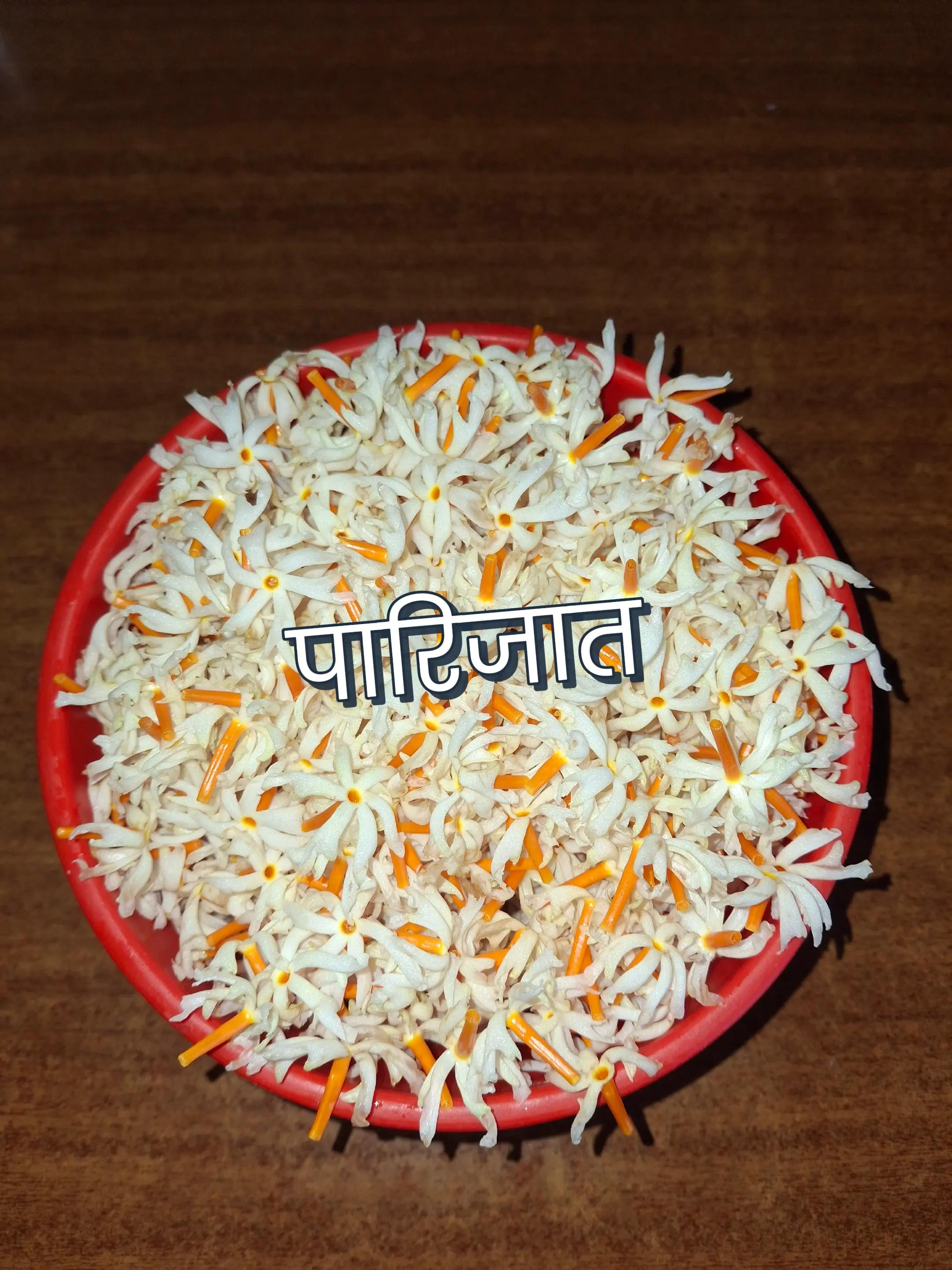 @@fani thapa