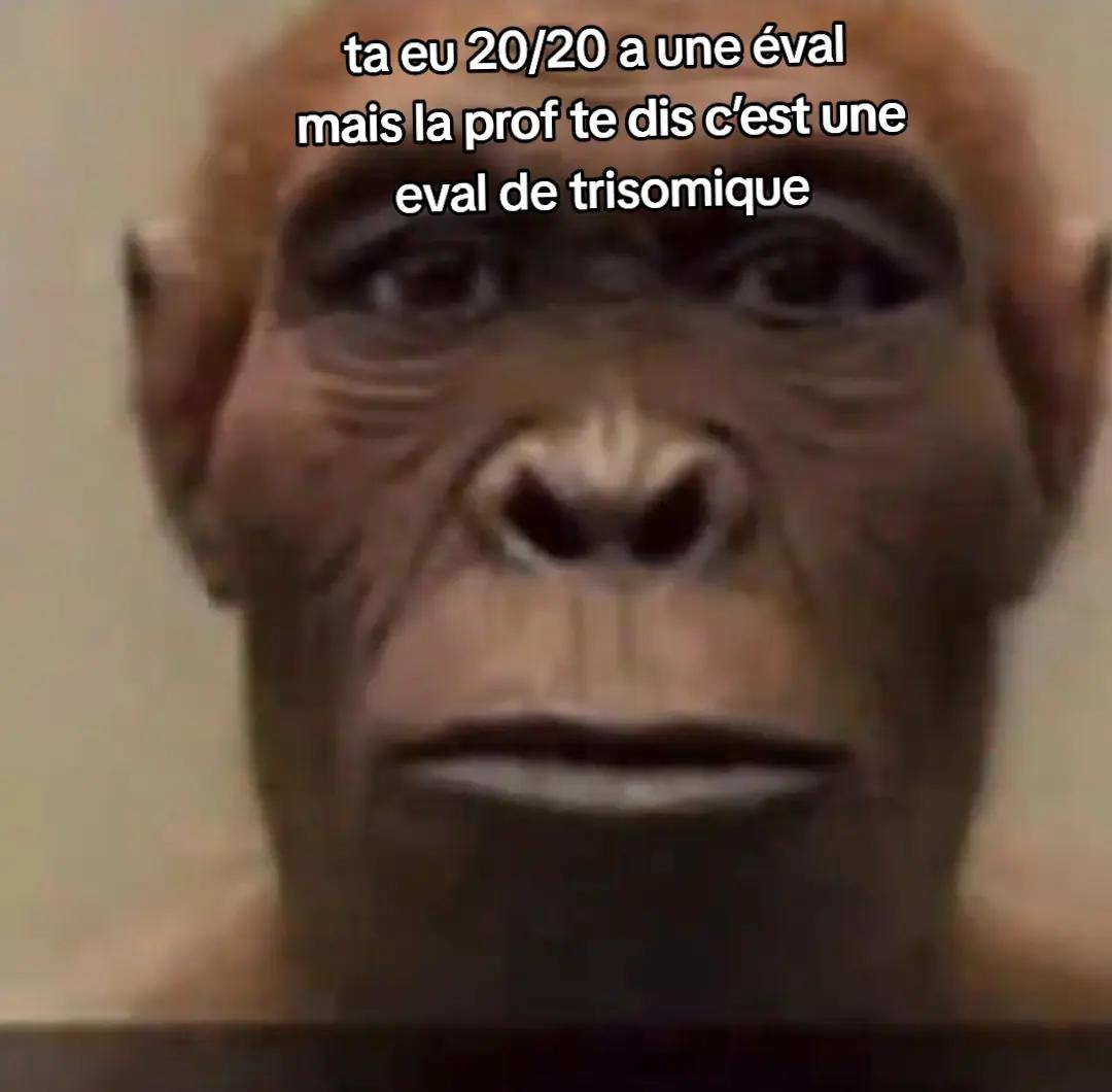 @dragoon