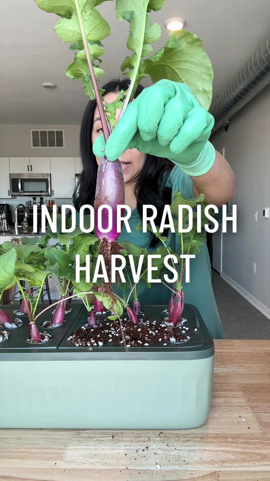 @gardeningindoors