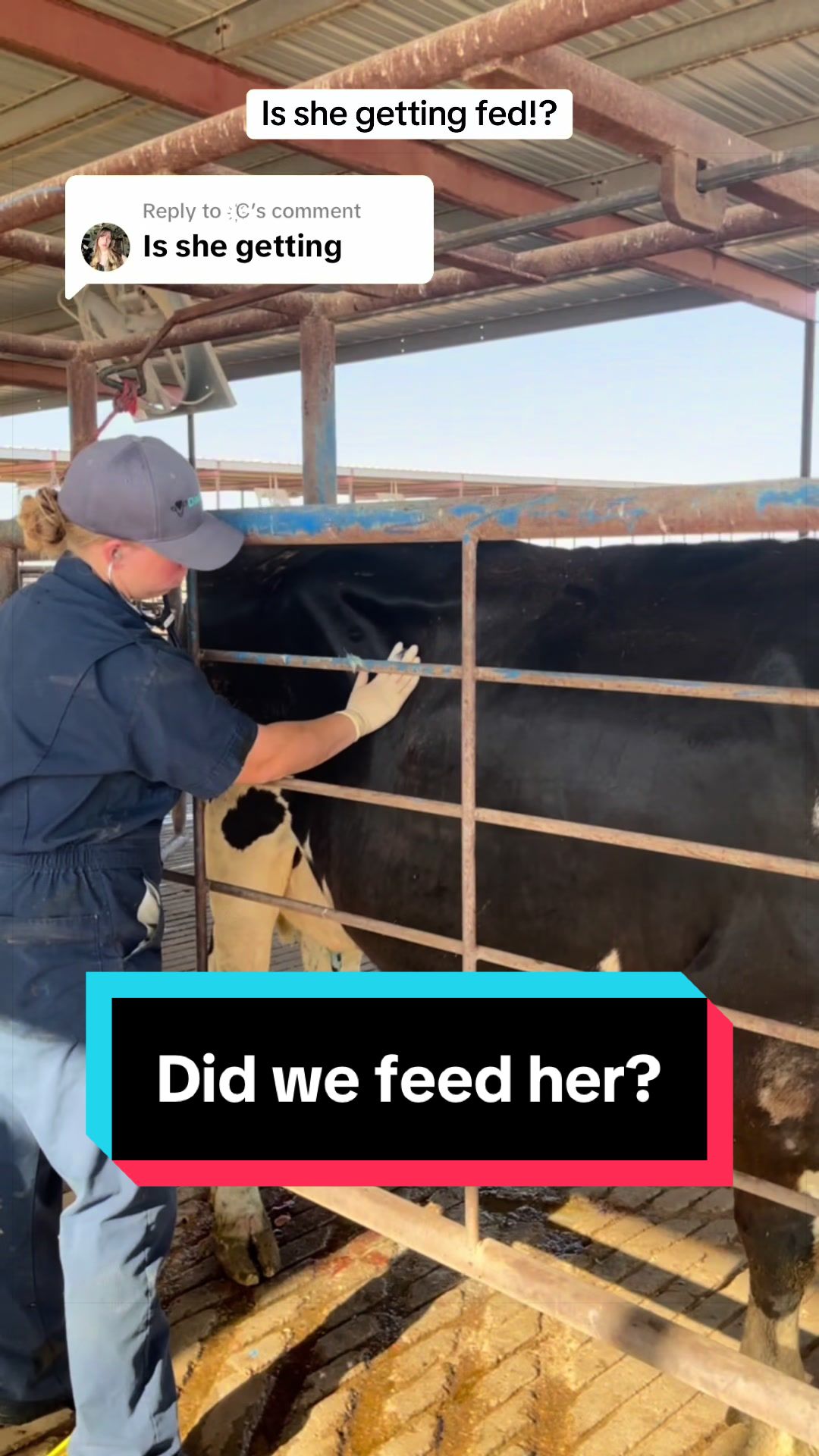 @Dairy Vet Dr. Michelle