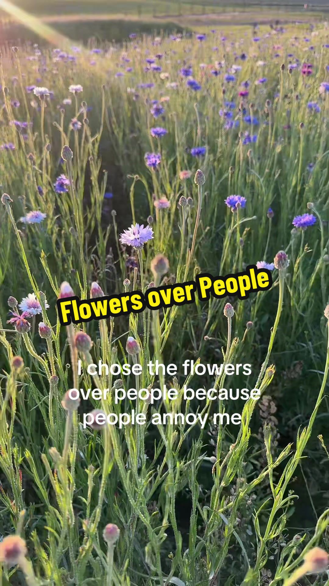 @MISSY & Her Farmer