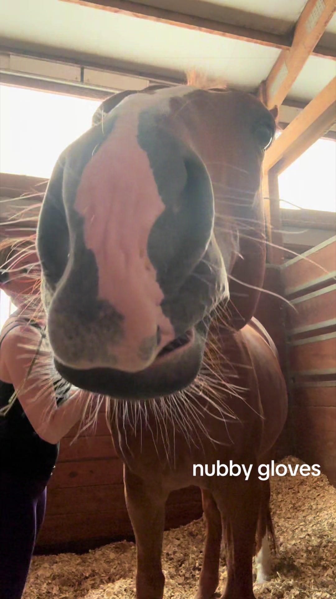@EM Equestrian