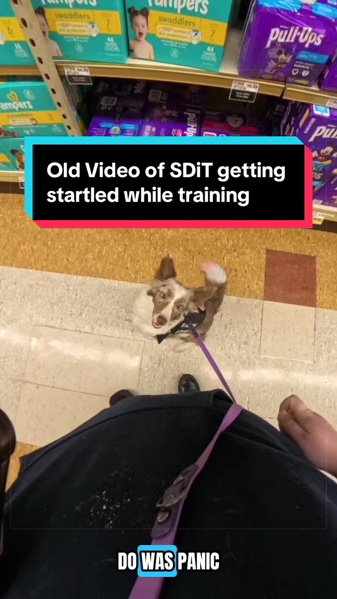 @Dakota & Pups