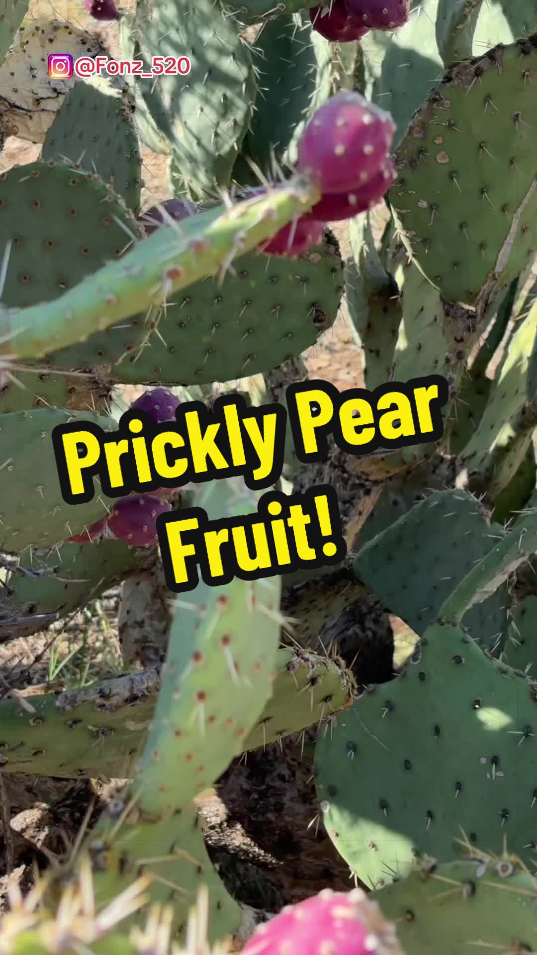 @Fonztradamus
