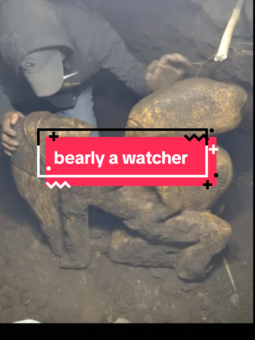 @bearlyconspiracies