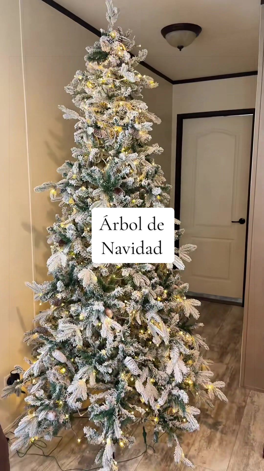 @mary