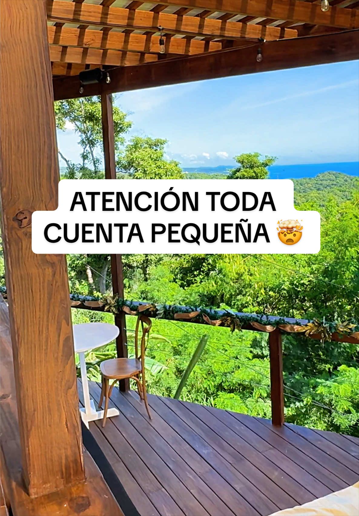 @peachyhomestead