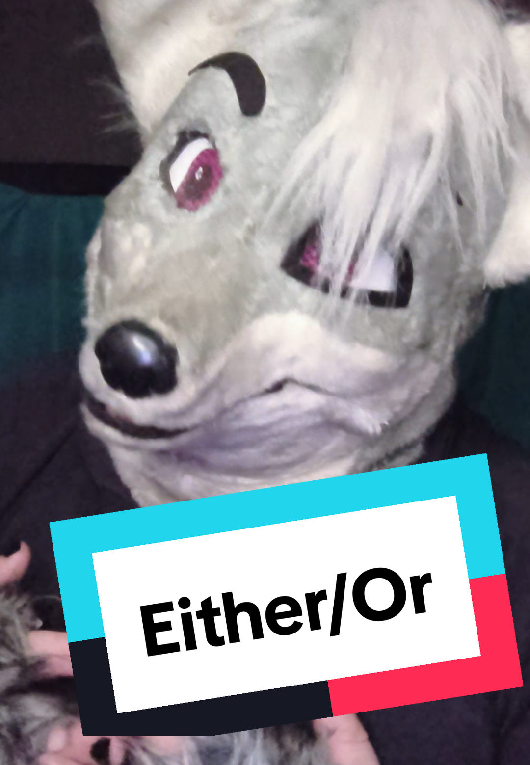 @kilolf5