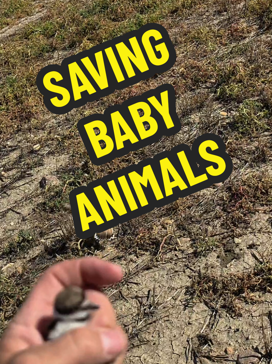 @1HANDNFARMING 🦾🌾🐂🚜