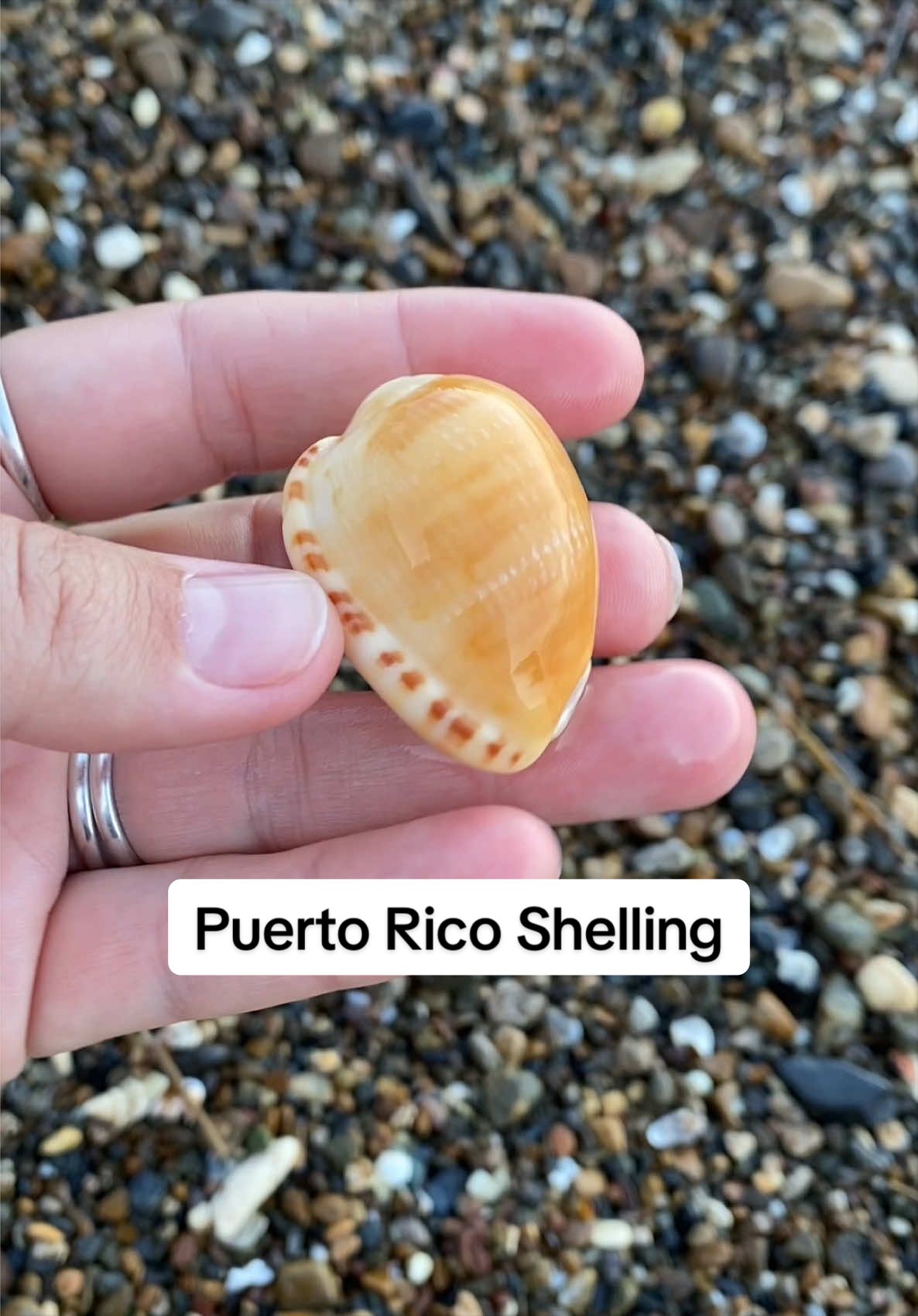 @🐚Jojo🌴