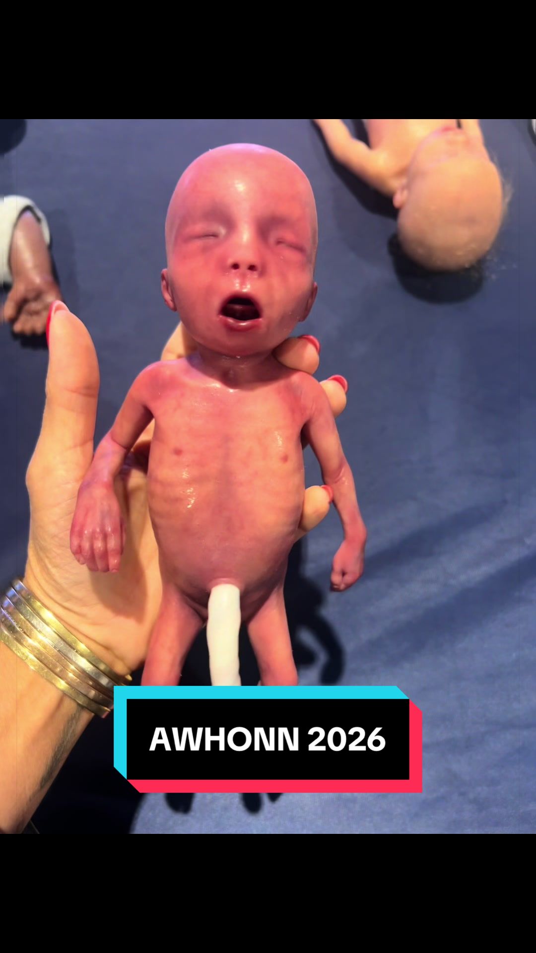 @Echo Healthcare