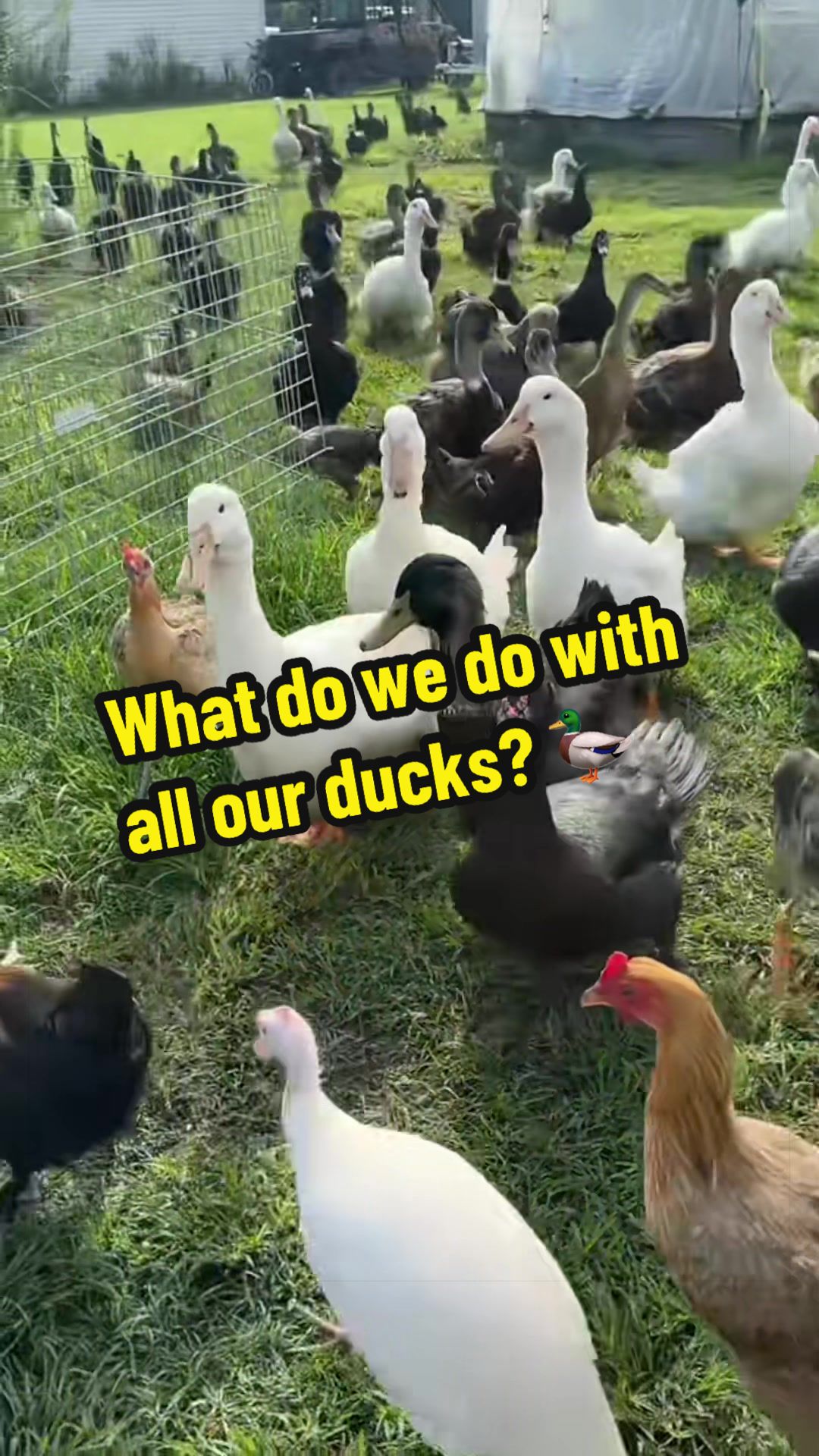 @TwoGuysandSomeLand