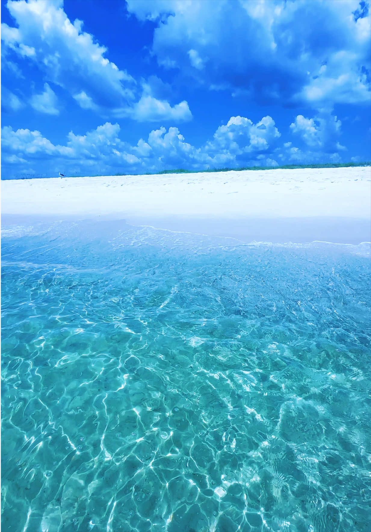 @All Things Emerald Coast