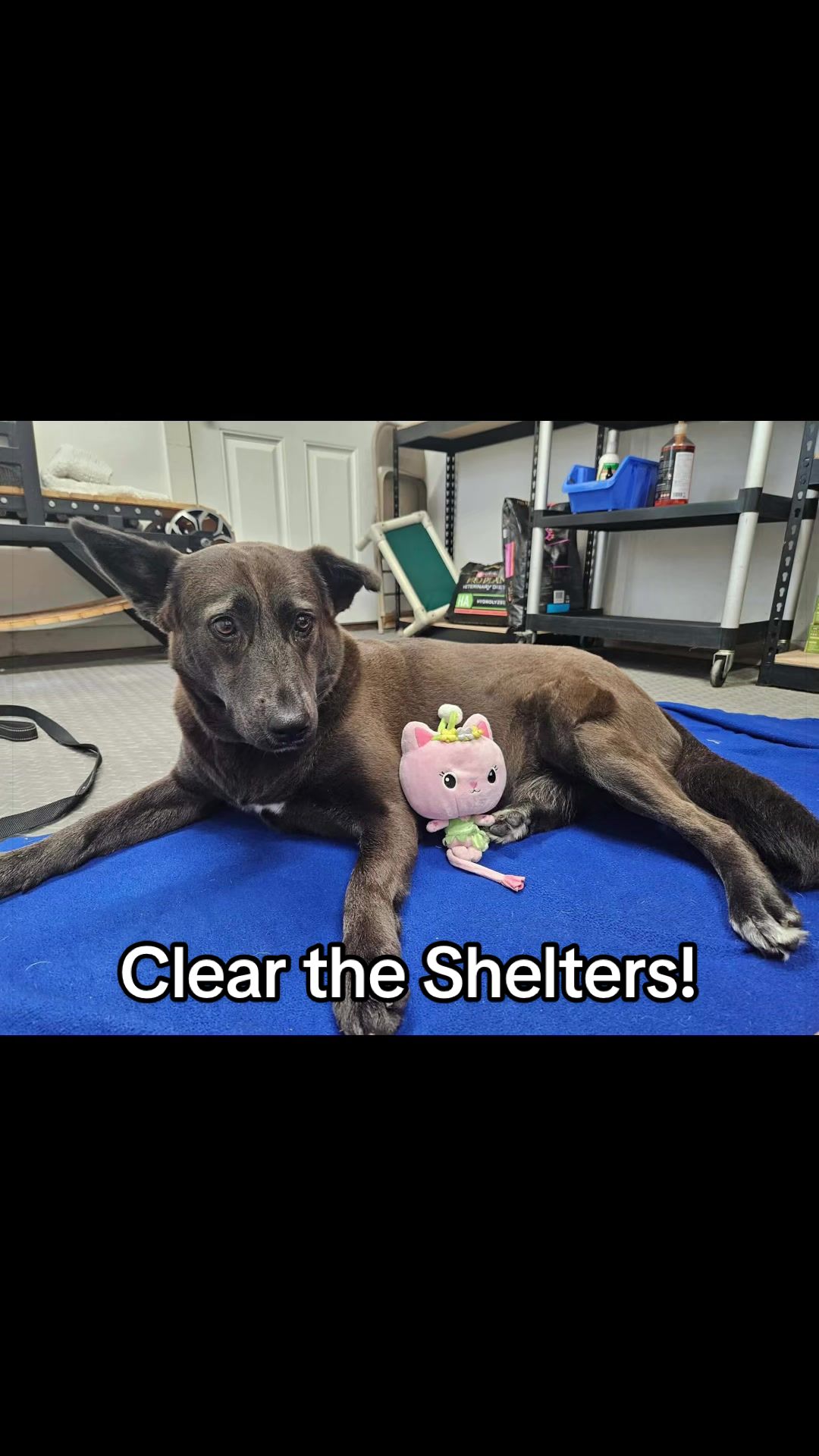 @Corridor Rescue Inc.