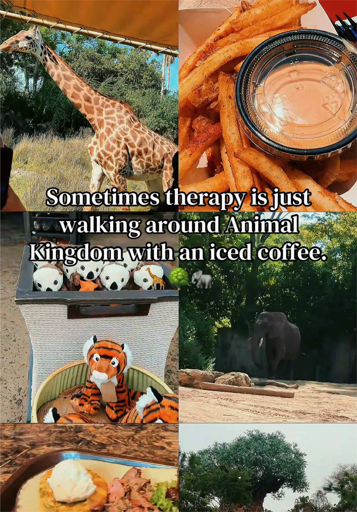 @thatmagicalteacher