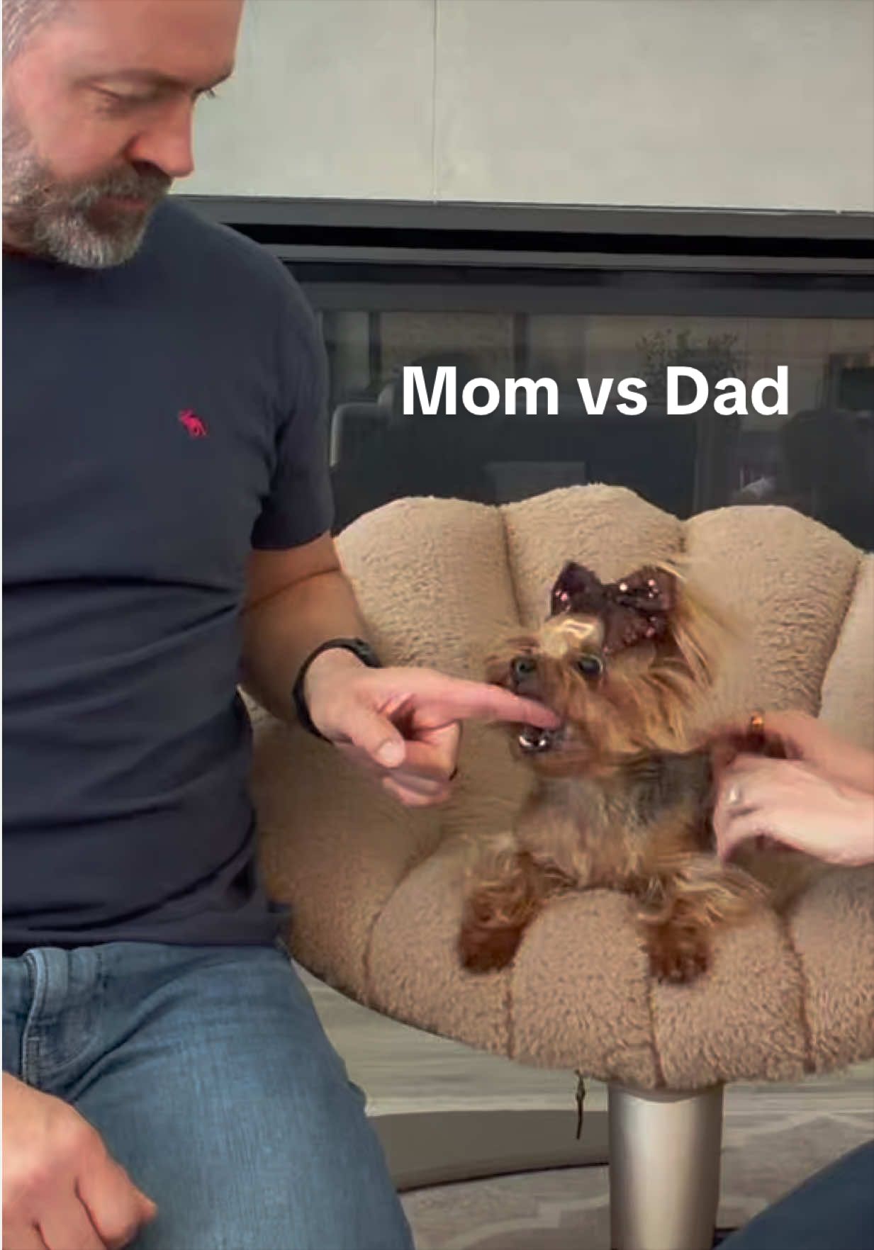 @The Utah Yorkies